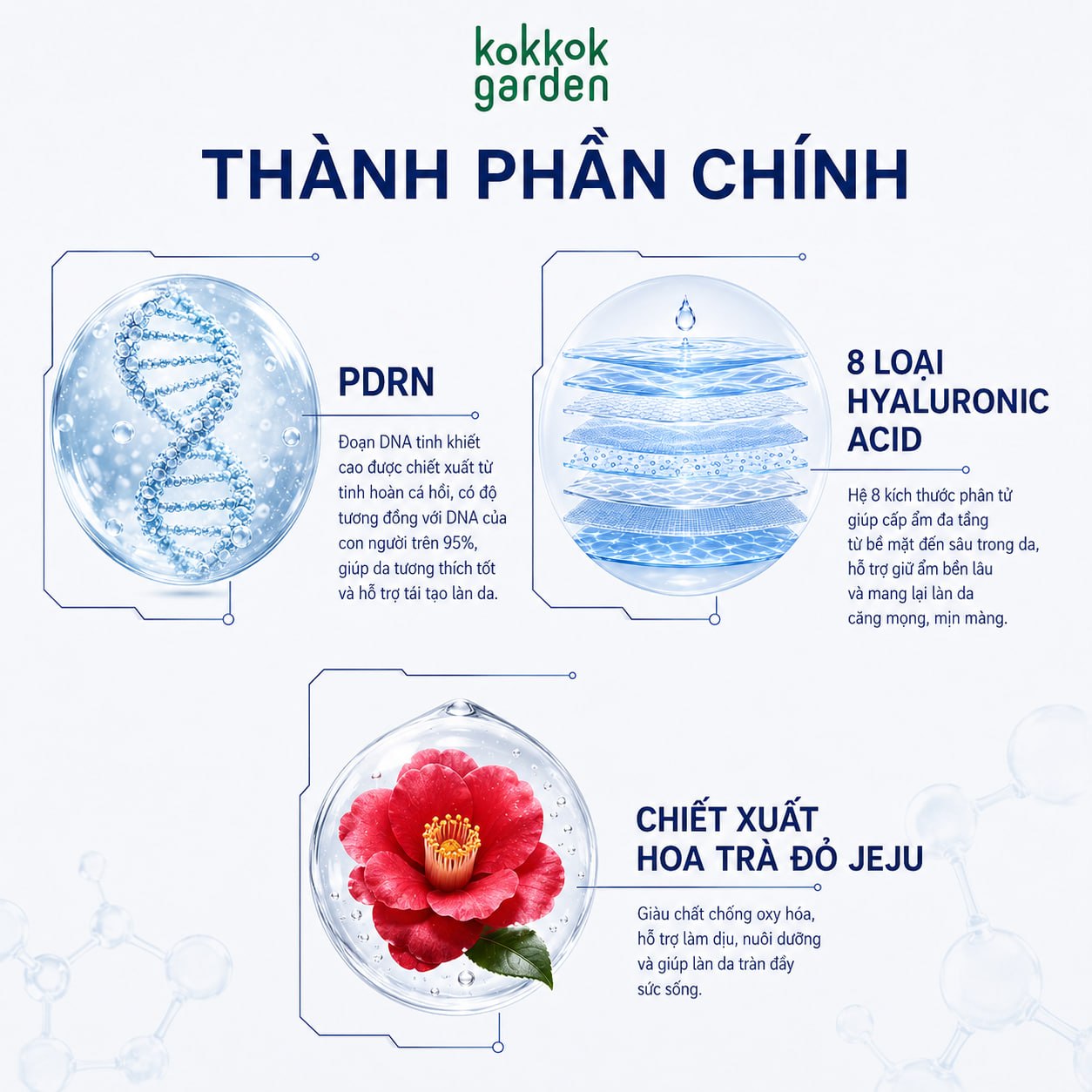 kokkok garden| Combo Serum Dưỡng ẩm PDRN, Cấp ẩm và phục hồi cho làn da. Dạng gói 2mlx6 Hộp 6 gói